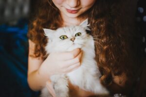 Чому кішка ходить за вами по п’ятах: 6 неочевидних причин.