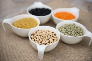 Бобові у складі кормів для котів та кішок: користь чи шкода?