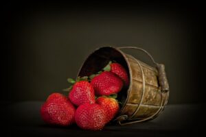 Чи можна полуницю собакам?