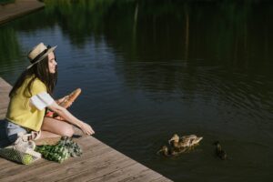 Чи небезпечний хліб і батон для диких качок? Чим можна підгодовувати птахів?