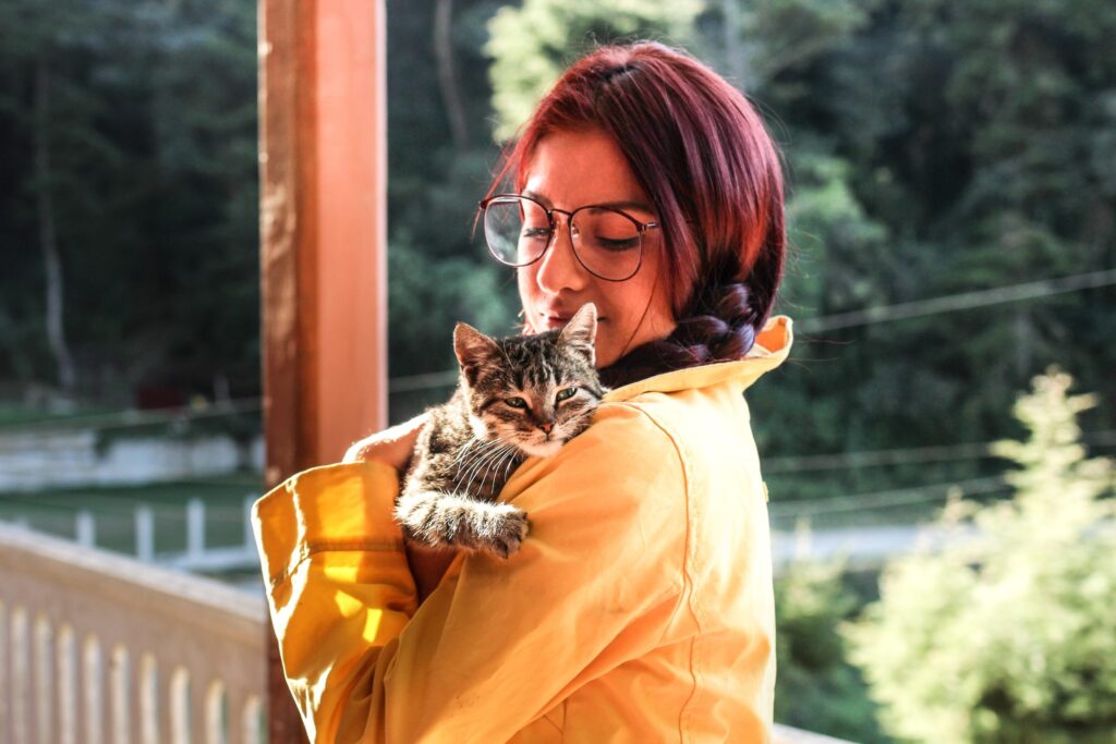 Як виховувати кошеняти