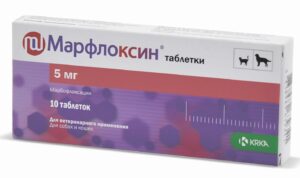 Коли призначається Марфлоксин для котів?