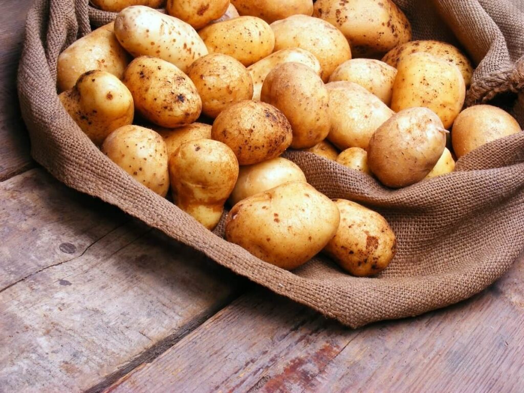 Чи можна кішці давати картоплю