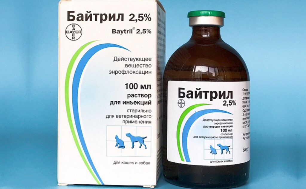 При небезпечних інфекціях допоможе Байтріл для котів