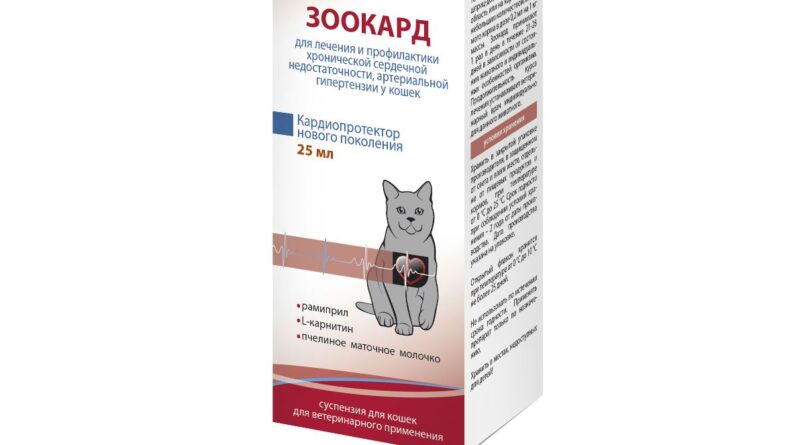 Серцю допоможе Зоокард для котів