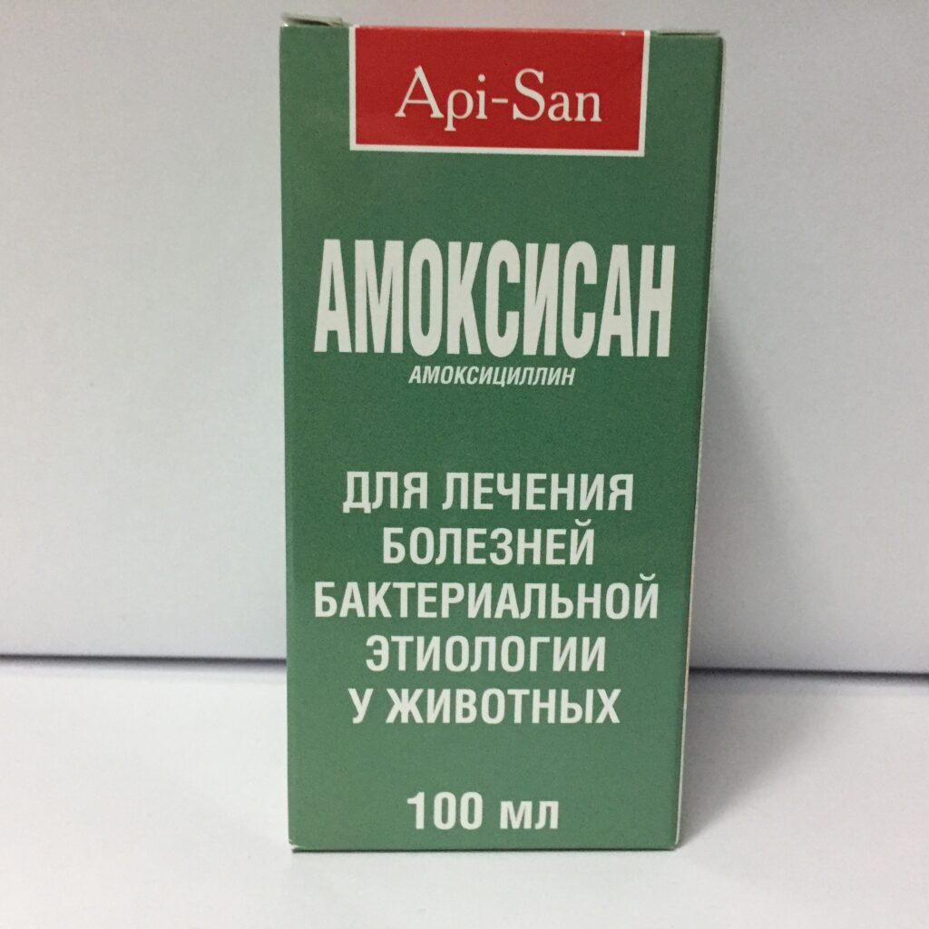 Як застосовувати Амоксисан для котів правильно