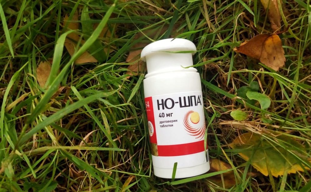У яких випадках собакам можна Но-шпу