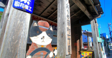 Shàbhail cat air seacharan seann rathad-iarainn bho bhith a’ dùnadh agus daoine bho bhith air an losgadh