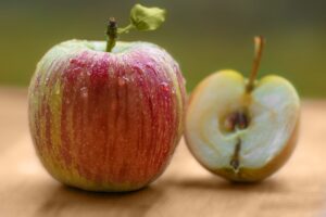 Чи можна собакам їсти яблука: користь, скільки давати?