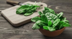 Чи можна собакам їсти шпинат: шкода і користь, як давати?