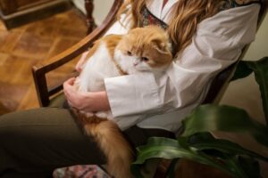 4 причини обіймати свого улюбленця щодня.