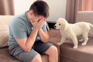 Чи розуміють собаки, коли людина плаче?