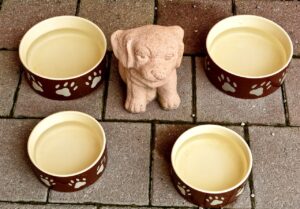 Why Does My Dog Flip His Water Bowl?