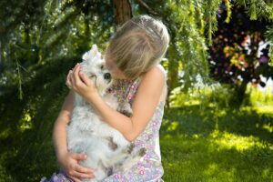 Why Does My Dog Nibble My Ear?