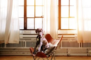 Why Does My Dog Run Away When I Sneeze?