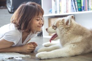 Why Does My Dog Sigh When I Talk To Him?