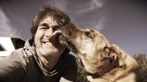 Why does a dog lick its owner, and what is it trying to communicate?