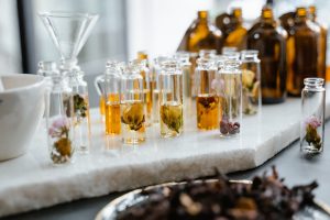 Exploring the Validity of Flower Remedies for Pets: Fact or Fiction Unveiled?