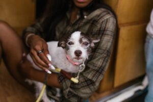 Why Does My Dog Lick My Armpits? (7 Reasons)
