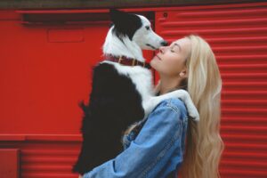 Dog training taps for new pet owners.
