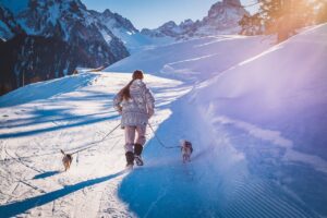Hypothermia in dogs: symptoms and treatment, how to prepare for the cold?