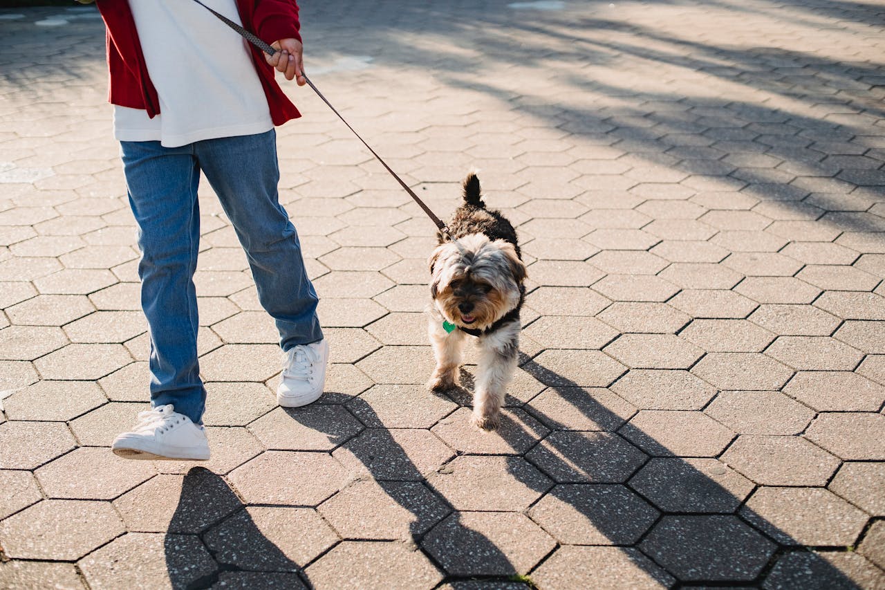 Regular walks and physical activity.